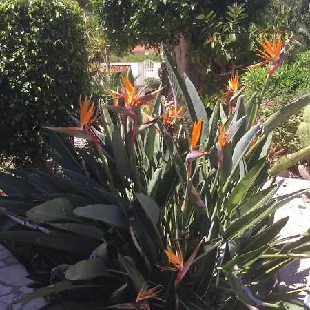 Villa Soleil With Swimming Pool And Garden Вилла *